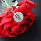 Be Still Flower | Necklace Circle Pendant Snake Chain - Givtz Back